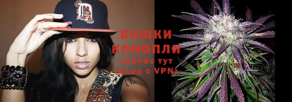 сатива Великий Новгород