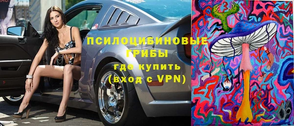 твердый Абаза