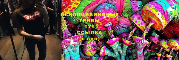 тгк Алексин